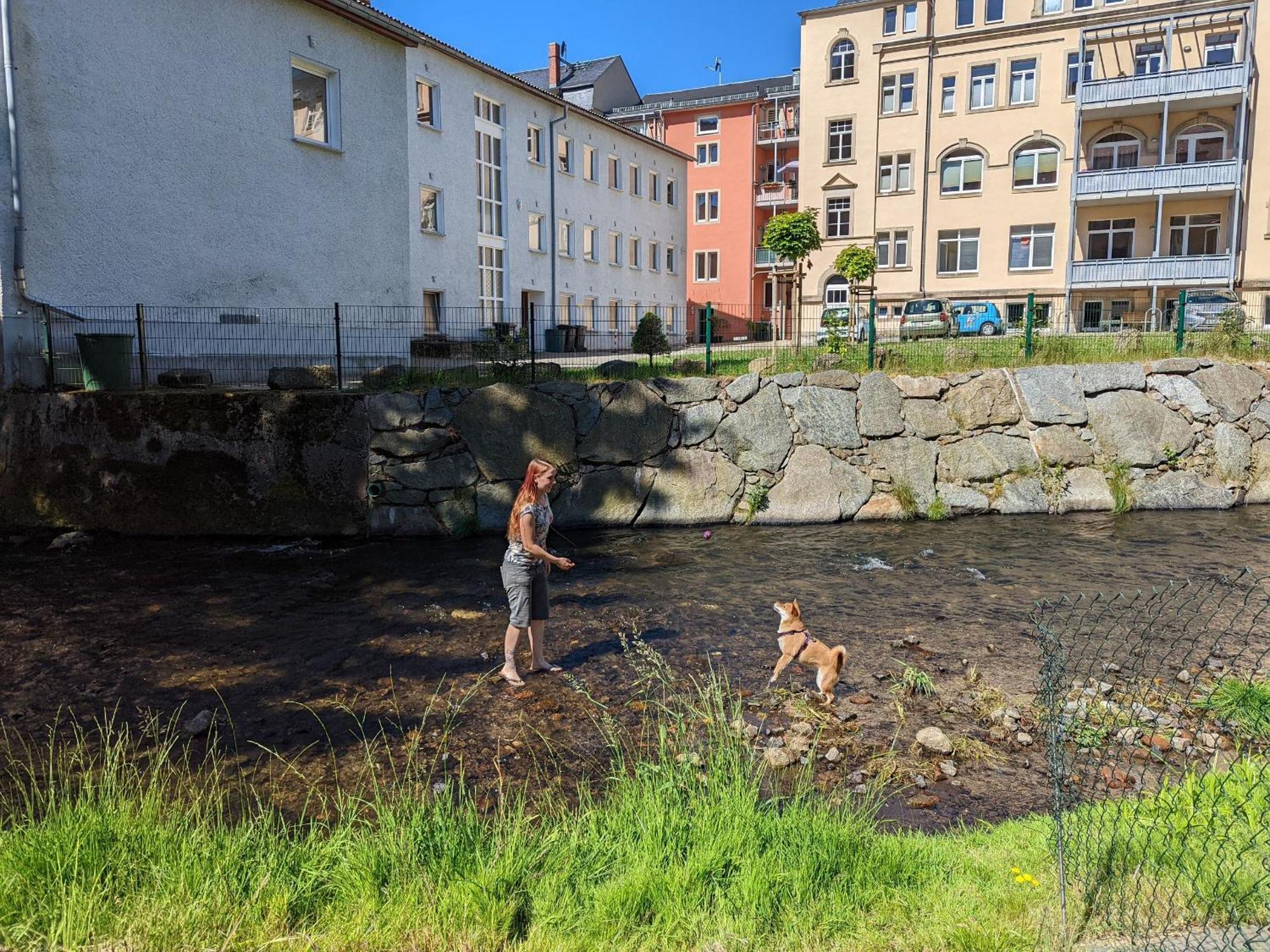 F1 - Urlaubsmagie - Helle Wohnung Mit Sauna & Pool & Whirlpool ゼーブニッツ エクステリア 写真