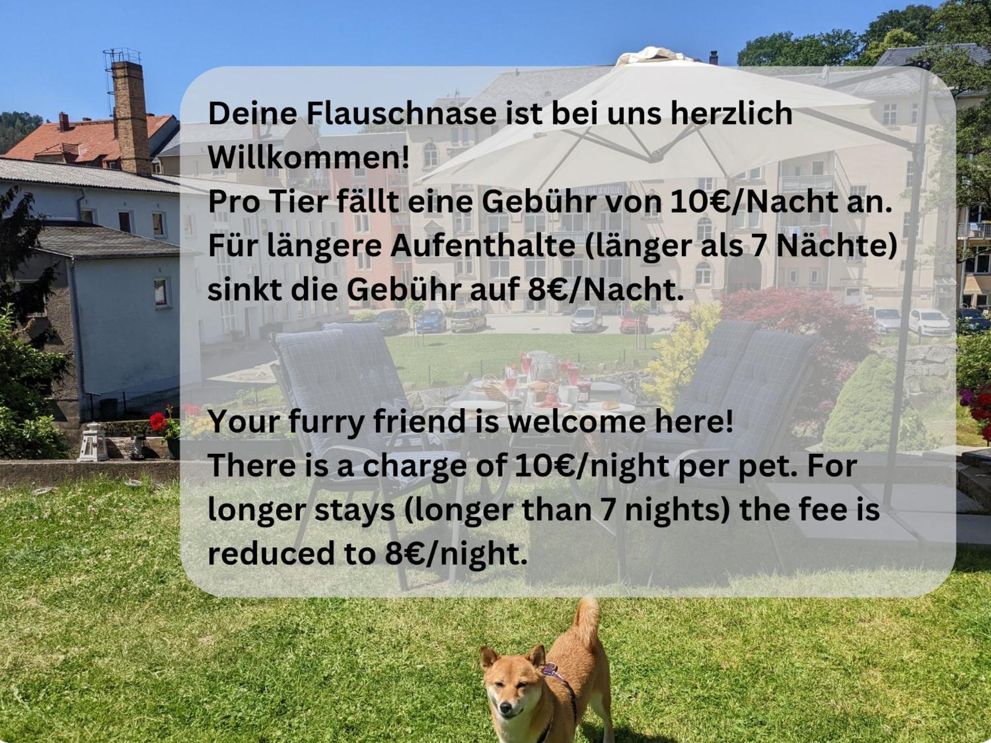 F1 - Urlaubsmagie - Helle Wohnung Mit Sauna & Pool & Whirlpool ゼーブニッツ エクステリア 写真